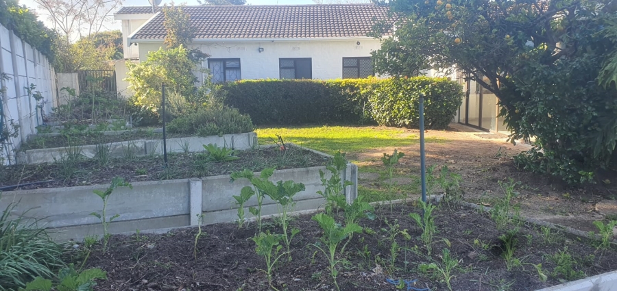 To Let 5 Bedroom Property for Rent in Constantia Western Cape